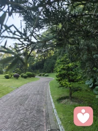 假如你對你自己的個人能力過于迷信和自戀，也許你可能會有一些超價觀念。比如個別的藝術家存在對個人天才的超價觀念，其想法與事實不符，往往過于迷戀他們的理想而不易糾正。配圖