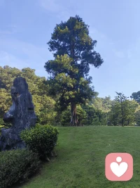 假如你還沒有步入婚姻，請你注意自己的婚姻動機。
婚姻動機的核心是什么？就是讀懂自己看到他人，尤其知道對方的缺點是不是你所能夠接受和包容的，如果沒有做到的話，他將會成為婚姻的風險基石。
婚姻解決不了人的內在問題，比如原生家庭，比如性格，比如經歷。配圖