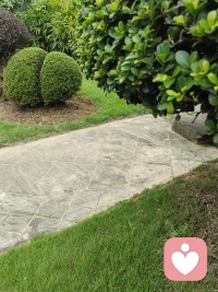 傾訴，療愈，治療是一個工作里程碑的關鍵詞。但是核心的問題還是要建立緊密的信任才是工作的開始。配圖