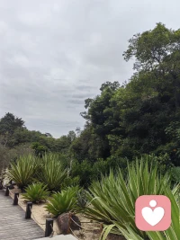 我們對別人的事情總是充滿好奇，好奇的背后也有很多的負面的情緒，比如嫉妒。但是當你去體驗對方的時候，你會發現其實你的猜想和事實有很大的差距。

投射和自我經驗是阻礙自我成長最為重要的部分。配圖