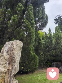 為什么我們會嫉妒別人？它的存在讓自己的不足或缺點呈現出來，無法接受；讓自己感到威脅；競爭壓力感；人性的劣根性。
沒有關系，這是人類的一個正常的情緒。看到就可以了，不需要來針刺自己。配圖