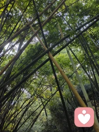 女人是想抓住男人而不得并感到痛苦。
女人對愛情的理解導致男人的痛苦，而男人的想逃離這種痛苦時，就會被女人理解他們不愛自己，于是會陷入更大的痛苦中。配圖