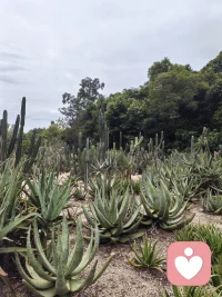 生活中我們關注自己的注意，注意的特征是指向性和集中性,所以我們的這個特質讓我們在生活當中能夠忽略很多的細節。配圖