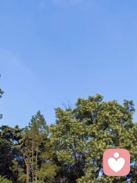 音樂給我們的通常是韻律與旋律，它同時(shí)也是一個(gè)通向我們內(nèi)心世界的一個(gè)渠道，通過音樂的悠揚(yáng)起伏，讓我們內(nèi)在的情緒給予抒發(fā)。
讓我們靠近音樂。配圖