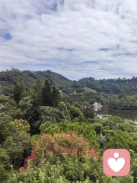 在人際交往中，我們不知不覺會變成了PA c模式，即父母模式，成人模式和兒童模式。也就是說我們在某一個時刻會變成了權威父母的感受。有的時候我們又變成了成人的感受，有時我們就又變成了孩子的感受。而這種感受的切換是源于我們的下意識行為。
受到社會社會角色的影響，我們在不同的角色下就會呈現不同的模式。配圖