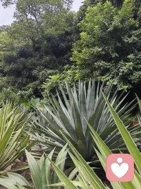 气质与人格不同，气质多半天生，不可逆。人格多半后天形成，比如家庭环境，经历，周边环境，创伤等的影响。配图