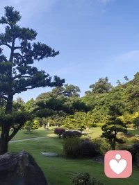 每个人行为的背后是动机，而后是期待，可怕是冲突感。一边依从一边控制，一边攻击一边恐惧，一边伪装一边真实，撕裂自己的内心世界。配图