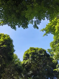 男人通過不斷地制造一些新東西，來彌補(bǔ)自己作為不能生孩子的不足，這是潛意識的表達(dá)。
女人不斷地修煉化妝技術(shù)來迷惑男人，來彌補(bǔ)自己生理性的缺少，這是一種解讀。

集體無意識就是一個民族，團(tuán)體的內(nèi)在潛意識，比如傲慢，偏激等。配圖