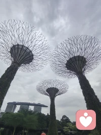 情感里的糾纏都是付出不平等的不甘心，無論是家庭付出多的看不到，還是情感給予多，但是地對方無視，都是自己的委屈在吶喊。而此刻對方已經離開自己的位置，自己卻凌亂在風中。

真實與感受真實不一樣。配圖