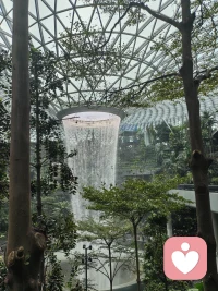 我们内在的恐惧原型是什么?
害怕失去自我,避免与人交往;
害怕分离与寂寞,百般依赖他人;
害怕改变你消失,死守着熟悉的事物;
害怕既定的事实与前后一致的态度,专断自为。