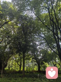 对于一个来访者的看到并非表面上的行为,一个喜欢折磨动物的人来咨询,绝对不是让他放下凶狠的双手,而是觉知他背后的隐情,起初来自动物的喜欢而转变。尽管这个过程非几次谈话解决,但是建立信任后,看到是人格与潜意识的暗中操作。
脚疼医脚的治疗方法不是心理治疗,更想外科医生 。