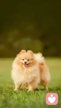 尼采說：這個世界沒有真相，只有視角。

這個格局穿透是認知，道德的幻影，讓我們曾經迷戀過的東西虛無或存疑。配圖