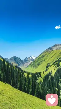 看别人要远看，看自己有近观。
别人的再好不属于自己，自己的再差，也要运用。配图