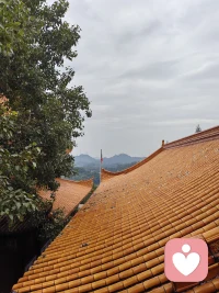 无论人生到哪一个台阶，阶下有人在仰望你，阶上亦有人在俯视你，你抬头自卑，低头自得，唯有平视，才能看见真实的自己。