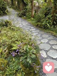 别让浅尝辄止和敷衍了事成为你的习惯。只要你决定去做就尽力而为，才能无愧于心，把行动交给现在，把结果交给时间。当你拼尽全力，自然会收获想要的结果，只要你一直向前，前方的路一定会繁花盛开。配图