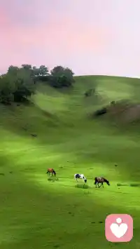 所有优秀背后，总有日复一日的自律。我们之所以佩服自律的人，并不是佩服他们比我们更有天赋，更聪明，恰恰是佩服他们靠着毅力，做到原本我们也可以做到的是。配图