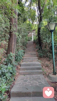 ”你总是迟到，而且拒绝思考，我个人的猜测是这和你觉得我像你父亲有关，你总对我说你听不进父亲的话。”负面移情的干预。