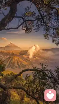 主动去体验冲突，确实有可能会让人觉得很难过，但这是一种才能才能，而且非常的珍贵。
想要让自己的内心获得更多的自由以及更强大的力量，就必须要在遭遇冲突时，拿出勇气去面对他。同时尽量去寻找解决方法。
勇气越大，自由和力量来得越快，只有当我们愿意承受打击时，我们才能有希望成为自己的主人。配图