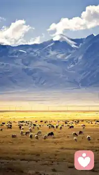 职场乌烟瘴气，你也会被利用被同化，不免懊恼，气愤；
家中鸡犬不宁，你也势必被喧嚣的磁场影响难以平静。生活动荡不安，你惶惶不可终日时运跌宕起伏，你满腹牢骚。
忧虑我们深受环境影响环境冲突，引发内心冲突是再正常不过的事。配图