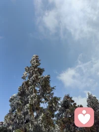 我们会说解决冲突的方法是直面冲突，直面失控，直面内心的恐惧。
必须接受不是所有的事情你都能掌控的这个事实，放下自己不切实际的要求。

但是这一切是比较难的，必须需要有人为你做刻意训练，否则知道你也做不到。

欢迎你找我做刻意训练。配图