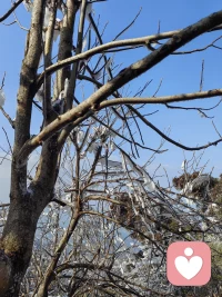 大部分情绪都是中性的，无论高兴，愉悦还是恐惧，悲伤都是中性的。

压制情绪时，我们使用了有害的自我否定以及无法真正的管理情绪，导致理智完全下线。配图
