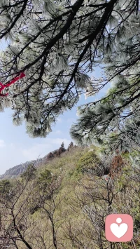 你只想100%的改变，所以你被困住了，现在我们要做的时长是5%做好，用一个极其微小而不同寻常的行动，去打破惯性和困局。配图