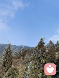 无聊之所以可怕，是因为我们不允许他发生。就如同我的一位来访者，在经历过这样的一次冲突之后，第1次意识到他的生活中存在那么多严重的问题。配图