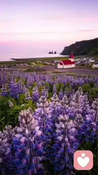真正的慷慨是把一切献给现在。

忘记以前的不快，就是对现在最好的应对。配图