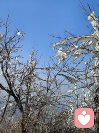 有的人说心理咨询以后自己变凶了，其实不是变凶了，而是疏通自己压抑的部分，比如，经常喜欢有苦咽在肚子里的模式，咨询的过程中会激发出来的怨恨，同时感受到被化解。
化解的方式通常是释放攻击性。
就是外显的变凶了。配图
