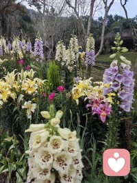 爱好不是你生命之外的东西，而是你费了很大力气才变成了你的生命之类的东西。爱好不会给你带来很多次愉悦而会让你投入很多次的做约束。