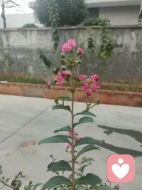 把自己活成一道光，因為你不知道，誰會借助你的光走出黑暗。
請相信自己的力量，因為你不知道，誰會因為相信你，而開始相信自己。配圖