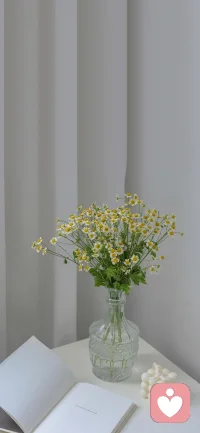 理人际关系小工具
该手记内容已经得到当事人的许可，且文中人物皆为虚名。


人际关系的一个心理学工具～等价交换


心里问题绝大部分来源于未能正确处理好人与人之间的关系。
正确处理人际关系的重要一点是关系中的等价交换，那等价交换所交换的价值有那些呢？人际交往的价值包括:经济价值，情绪价值，权利价值，陪伴价值，性价值等。
在人际关系中，1，等价交换往往并非是绝对价值的等价，而是心理价值的等价，因为有些价值是无法量化的。达到双方的心里平衡就是一个心里等价的状态。2，等价交换并非一定是同一种价值的交换。也可以是不同类型的价值的交换。
亲子关系中，等价交换也依然有其参考价值。虽然这种价值的绝对交换值不是相等的，父母对于子女的关爱和给予的各种价值要远大于子女给予父母的。但如果子女对父母好，那父母是不是会更加开心，更乐意给予子女更多。配图