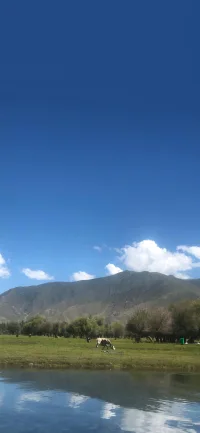 拉近人际关系的小思路

1，多请求他人帮你一点小忙，这种忙是断定对方大概率不会拒绝的那种。帮过你一次的人，第二次帮你的可能性更大。事后以合适的方式向对方表示感谢。

2，主动帮别人一些小忙。

互相帮忙可以快速的拉近距离，又避免了关系初期尚不熟悉时的尬聊。

3，偶尔分享一些小零食，水果。

4，积极参与团队活动，不要经常拒绝参与团队活动 。

5，如果是在团队中，先找关系的突破口，可以先和比较亲和的人拉近关系。