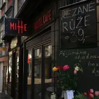 有關原生家庭帶來的傷害
過渡拯救者，通過付出表達無助感，目的是為了緩解內疚。內疚緩解了，怨恨沒有緩解。
?
因為，你沒有在自己的位置上，被正常地對待。那一塊沒有被深情凝視過的區域，是荒蕪和黑暗的。
怨恨者，常見的內在聲音是：你為什么那么對待我？他們很希望等到一個道歉。但是往往都是以失望而告終。
?
很多父母并不會跟自己的孩子道歉，但是，孩子卻一直想要一個道歉。所以，即便成年，也會卡在那里。配圖