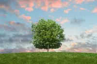 認真聽取求助者的表達和敘述，
盡可能理解求助者的情感和需求，
并嘗試感同身受。

還需要保持中立和客觀，
避免對求助者的情感和行為做出判斷或評價。

要尊重求助者的感受和決定，并提供適當的支持和建議。

建立信任和溝通。配圖