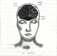 意志力實驗:5分鐘訓練大腦冥想
專心呼吸是一種簡單有效的冥想技巧，它不但能訓練大腦，還能增強意志力。它能減輕你的壓力，指導大腦處理內在的干擾(比如沖動、擔憂、欲望)和外在的誘惑(比如聲音、畫面、氣味)。新研究表明，定期的思維訓練能幫人戒煙、減肥、戒毒、保持清醒。無論你“要做”和“不要”的是什么，這種5分鐘冥想都有助于你增強意志力。
讓我們開始吧。
1.原地不動，安靜坐好。
坐在椅子上，雙腳平放在地上，或盤腿坐在墊子上。背挺直，雙手放在膝蓋上。冥想時一定不能煩躁，這是自控力的基本保證。如果你想撓癢的話，可以調整一下胳膊的位置，腿交叉或伸直，看自己是否有沖動但能克制。簡單的靜坐對于意志力的冥想訓練至關重要。你將學會不再屈服于大腦和身體產生的沖動。
2.注意你的呼吸。
閉上眼睛。要是怕睡著，你可以盯著某處看，比如盯著一面白墻，但不要看家庭購物頻道。注意你的呼吸。吸氣時在腦海中默念“吸”，呼氣時在腦海中默念“呼”。當你發現自己有點走神的時候，重新將注意力集中到呼吸上。這種反復的注意力訓練，能讓前額皮質開啟高速模式，讓大腦中處理壓力和沖動的區域更加穩定。
3.感受呼吸，弄清自己是怎么走神的。
幾分鐘后，你就可以不再默念“呼”“吸”了。試著專注于呼吸本身。你會注意到空氣從鼻子和嘴巴進入和呼出的感覺，感覺到吸氣時胸腹部的擴張和呼氣時胸腹部的收縮。不再默念“呼”“吸”后，你可能更容易走神。像之前一樣，當你發現自己在想別的事情時，重新將注意力集中到呼吸上。如果你覺得很難重新集中注意力，就在心里多默念幾遍“呼”和“吸”。這部分的訓練能鍛煉你的自我意識和自控能力。
剛開始的時候，你每天鍛煉5分鐘就行。習慣成自然之后，請試著每天做 10~15分鐘。如果你覺得有負擔，那就減少到5分鐘。每天做比較短的訓練，也比把比較長的訓練拖到明天好。這樣，你每天都會有一段固定的時間冥想，比如早晨洗澡之前。如果你做不到，可以對時間進行適當的調整。配圖