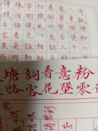 書法中迷失我自己，但誰又知道我內(nèi)心的孤苦呢配圖