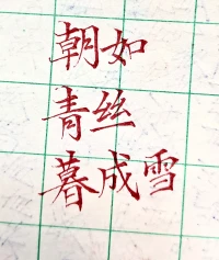 愿所有的女咨询师就像我写出来的字一样美丽配图