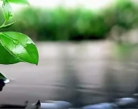 趣味聯想：
翹二郎腿：身體處于較勁狀態，開始可能感覺良好，頗有上位者氣勢，時間長了會很不舒服，放下了身體才能放松舒適。
與人較勁：心理處于較勁狀態，開始時可能理直氣壯，不達目的不罷休，時間長了一定會累，放下了內心才能平和舒坦。
覺察，放松，關愛自己，你可以的。配圖
