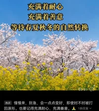 一邊生活，一邊療愈。配圖