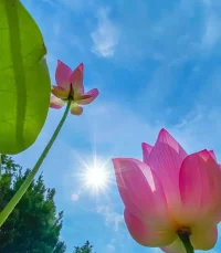 當和別人相處的時候，不能只聽他怎么說，最關(guān)鍵是要看他怎么做配圖
