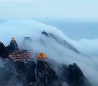 人的心靈，若能如蓮花，超然物外，無分別心，取舍心，愛憎心，得失心，便能獲得一些自在與安詳！配圖