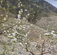 就呼吸，而呼吸。簡單專注于呼吸，在禪修和祈禱中發揮著關鍵的作用，這在許多人看來是一個驚人的訊息，主要是確信自己的體驗。
禪修的機會處處都可以: 在人行道上、在小路上、在上下樓的樓梯上、在辦公桌前，在廚房里、在浴缸里……
可以說是無所不在。
有寂靜的空間，當然最好，最有益。禪修生活無須待在偏靜的溫室中。甚至是一星期的某一天、特別專注地禪修以變得更加正念分明。配圖