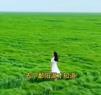 很多年輕人不理解什么是“空”。“空”就是沒有嗎？
“空”不是沒有，“空”的核心含義叫做“法無自性”，沒有確定的本性。
一個人，此刻因緣和合，所以他是個人，但他沒有人的自性，過兩天因緣消散了，他可能會有些變化。
周圍外在的這些東西是“空”的，是沒有自性的。
唯一實在的，是你可以關注東西，是你心里邊的起心動念。觀察它，它自然會逐漸消散。配圖