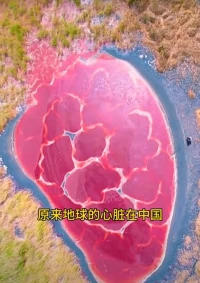 朋友問我，你認為人生最大的痛苦是什么？
我說:“人生最大的痛苦，就是一個人永遠找不到自己想要的東西，當這個想要的東西得到了，又想要下一個東西？”這叫“求不得苦”。
佛陀說過人間“八苦”:“求不得、怨憎會、愛別離、不欲臨、生、老、病、死。”
所以，我們要健康的活著，就是幸福的。配圖