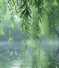 選擇決定命運，環境造就人生!共勉配圖