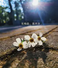 兩個人相處最好的方式：適度冷漠原則！配圖