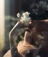 愛(ài)人如養(yǎng)花配圖