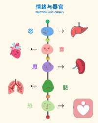 情緒與器官的關聯配圖