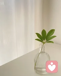 情绪从来不是“问题”，
它只是没被听见的需求。
 
焦虑，渴望的是确定感；
愤怒，想要的是被尊重；
悲伤，想要重新连接；
羞愧，想被无条件接纳；
嫉妒，其实在提醒你——
你也值得被看见。